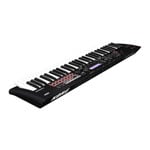 Korg - KROSS 2-61, 61-Key Synthesizer Workstation (Black)
