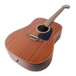 Takamine GD11M