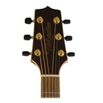 Takamine GD93CE Natural