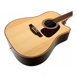 Takamine GD93CE Natural