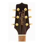 Takamine GN51CE LH NAT (Left Handed)