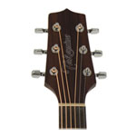 Takamine GN20CE Natural