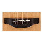 Takamine GD20 Dreadnought Acoustic Guitar