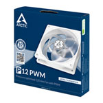 Arctic P12 Static Pressure 120mm PWM Fan White/Transparent