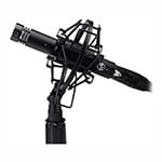 Warm Audio WA-84 Microphone (Black)
