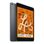 Apple iPad mini 8