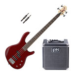 Cort Action PJ Bass Guitar (Black Cherry) + EBS Session 30 Combo Bass Amp + Roland Cable Bundle