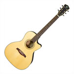 Levinson Sangamon Cutaway LSC-23 MVT Guitar