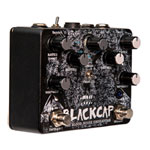 Old Blood Noise Endeavours - 'Blackcap' Dual Asynchronous Harmonic Tremolo