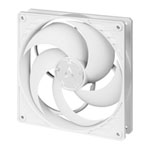 Arctic P14 Static Pressure 140mm PWM Fan White