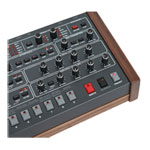 Sequential - Prophet-6 Module, Polyphonic Analogue Synthesizer