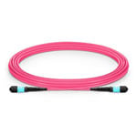 FS 16ft MTP-12 to MTP-12 OM4 Multimode Elite Trunk Cable