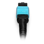 FS 33ft MTP-12 to MTP-12 OM4 Multimode Elite Trunk Cable