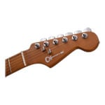 Charvel - Pro-Mod DK24 HSS - Red Ash