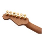 Charvel - Pro-Mod DK24 HSH - Natural