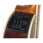 Takamine - New Yorker - Gloss Brown Sunburst