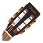 Takamine - New Yorker - Gloss Brown Sunburst