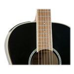 Takamine - New Yorker - Gloss Brown Sunburst