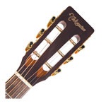 Takamine - New Yorker - Gloss Natural