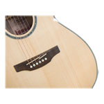 Takamine - New Yorker - Gloss Natural