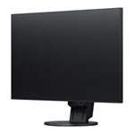 EIZO FlexScan 24" Monitor