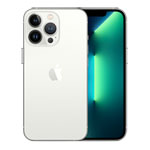 Apple iPhone 13 Pro Silver 1TB Smartphone