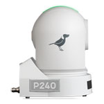 BirdDog P240 NDI PTZ Camera (White)