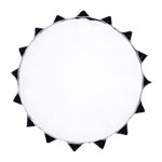 Aputure Light Dome MKII