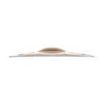 Zildjian 10" A Custom EFX Splash Cymbal Brilliant Finish