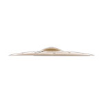 Zildjian 18" A Custom EFX Cymbal