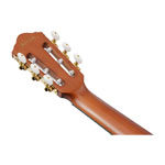Ibanez FRH10N Electro Acoustic Guitar - Brown Sunburst Flat