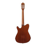 Ibanez FRH10N Electro Acoustic Guitar - Brown Sunburst Flat