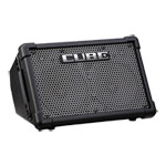 Roland CUBE Street EX Flagship 25W + 25W Stereo Battery Powered Amp With Cosm (Black)