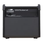 Roland PM-100 80-Watt Personal Monitor