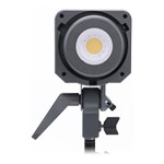 Amaran 100d S Daylight LED Light