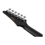 Ibanez ALT20-WK Weathered Black Open Pore