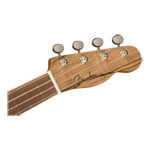 Fender Zuma Exotic Concert Ukulele, Walnut Fingerboard, Spalted Maple