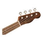 Fender Zuma Exotic Concert Ukulele, Walnut Fingerboard, Bocote