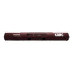 KORG PA1000 61-Note Arranger Keyboard