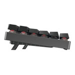 Cherry MX 8.2 TKL RGB Black Wired/Wireless Keyboard