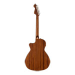 Fender Newporter Special, Honey Burst
