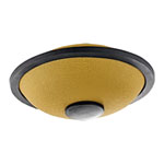 Meinl Sonic Energy Mini Steel Tongue Drum, B Major, Gold