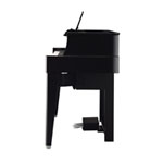 Yamaha N1X Hybrid Piano - Polished Ebony