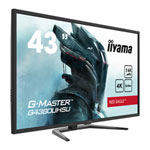 iiyama G-Master 43" 4K QHD 144Hz FreeSync Open Box Gaming Monitor