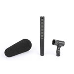 DPA 2017 Directional Microphone