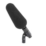 DPA 2017 Directional Microphone