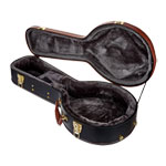 Epiphone 940-ED20 Case