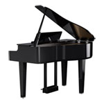 Roland GP-6-PE 88-Key Digital Piano (Polished Ebony)
