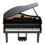 Roland GP-6-PE 88-Key Digital Piano (Polished Ebony)
