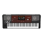 Korg Pa700 Oriental Professional Arranger Keyboard (61 Keys)
